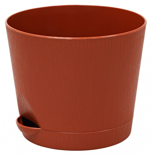 � ������� ��������� ������ � ��������, ����� 10 ���������