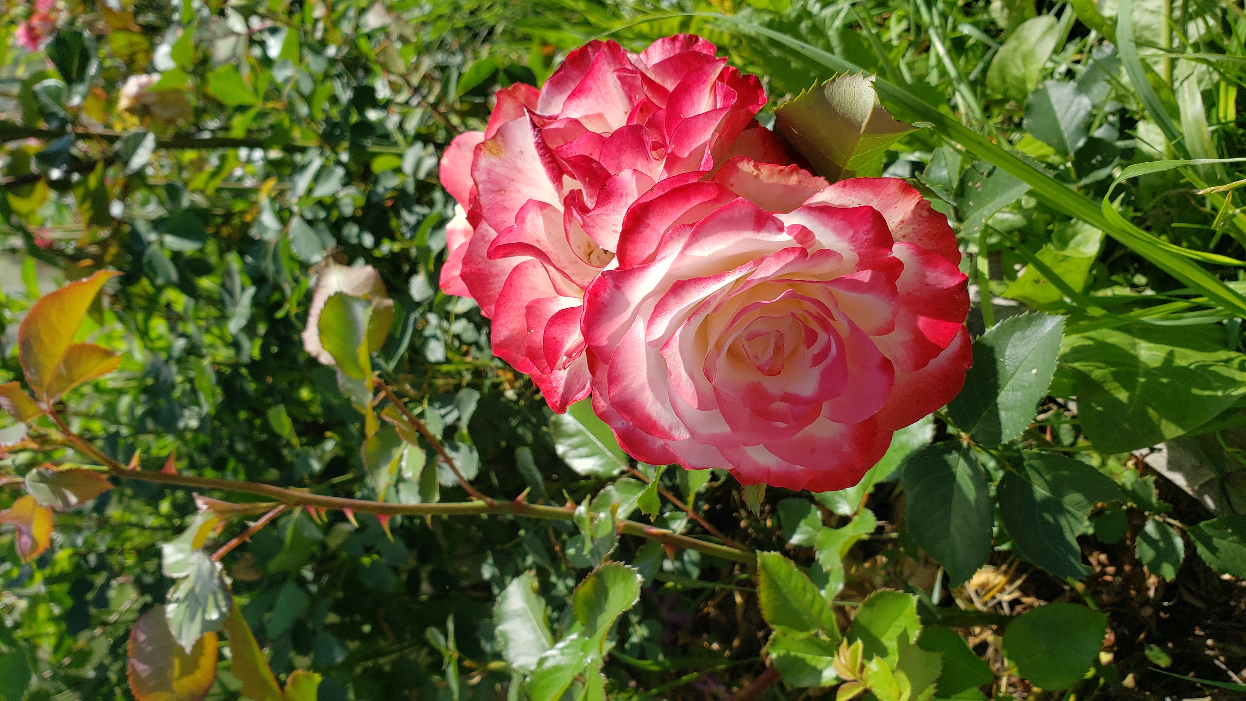 ���� �������. ����. ����� ������ � ������ ������. ��������� �� �����.