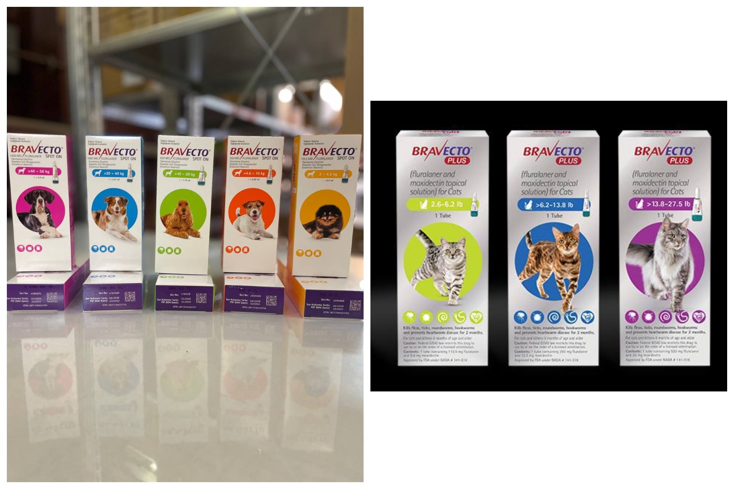 ��������! ������ ����������! � ������������ ��������� ����� �������� �� ���� � ������ ��� ����� � �����!