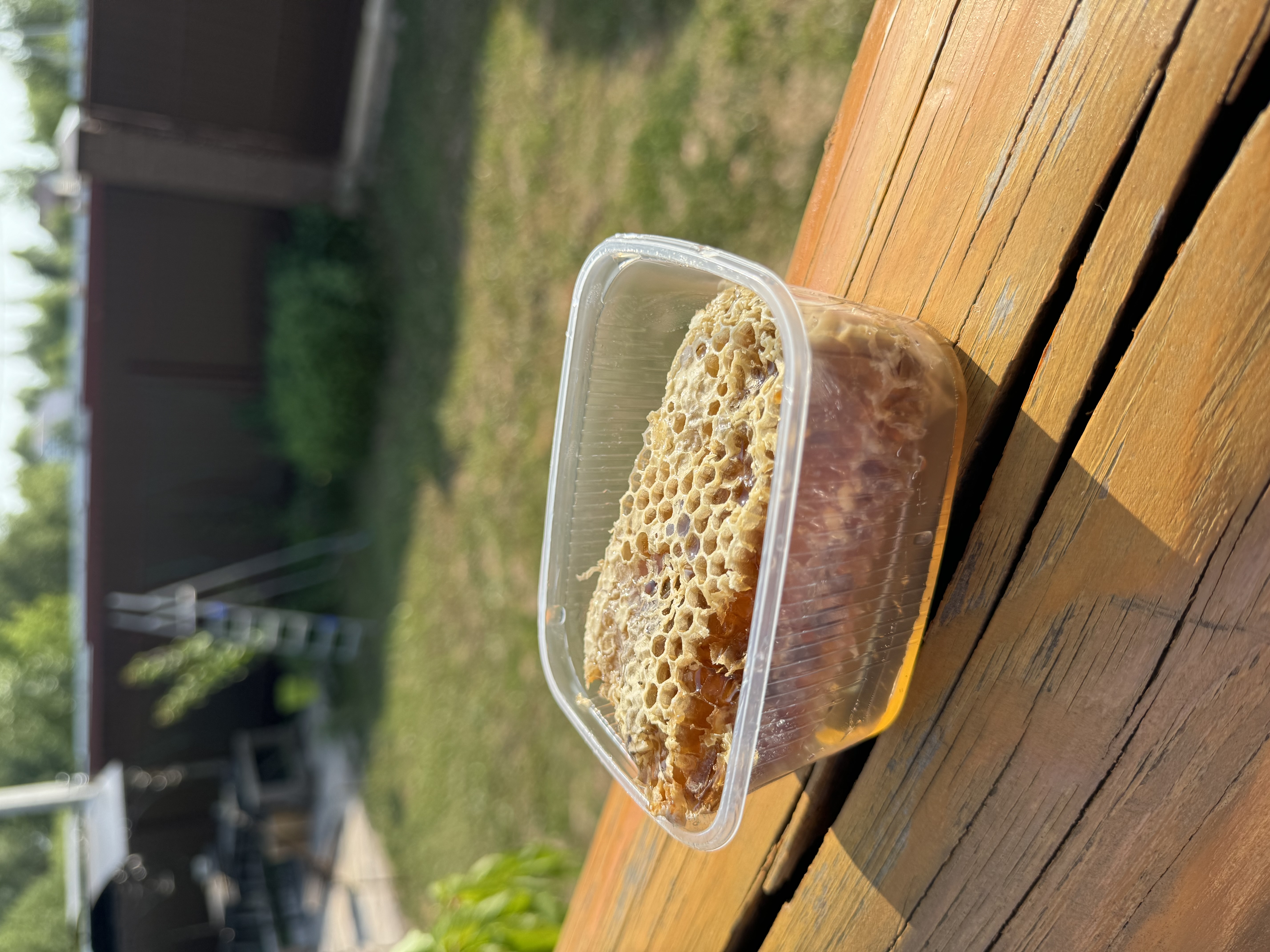 ��� � ����� 149� 150�� ������ 24. ���������� ����������. 5 ��������� ����� ����. ����� ����� �������� � ����������� � ����� �����