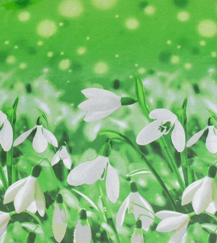 ����� �� ����� ����, ������, �������, �������, ���������, ������ -���� �������