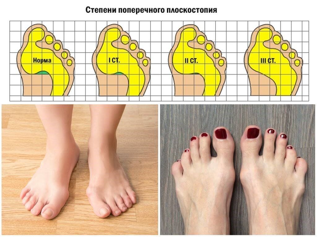 �������������� �������. ������������, ������-����������, �������� �����. �� 26/07