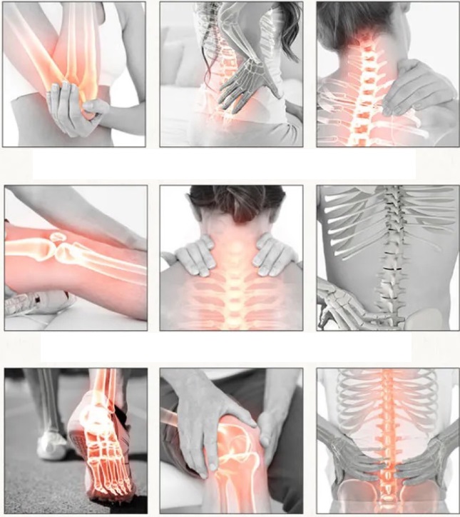 ��������� �������� ��� ����������, ����� � �����, ������ ��.�. 8�� � �������� 