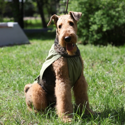 � ������� ����������� ������ ��� �����