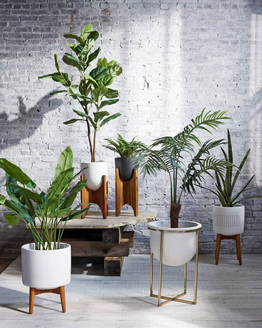  ������ ��� ��������� � ����