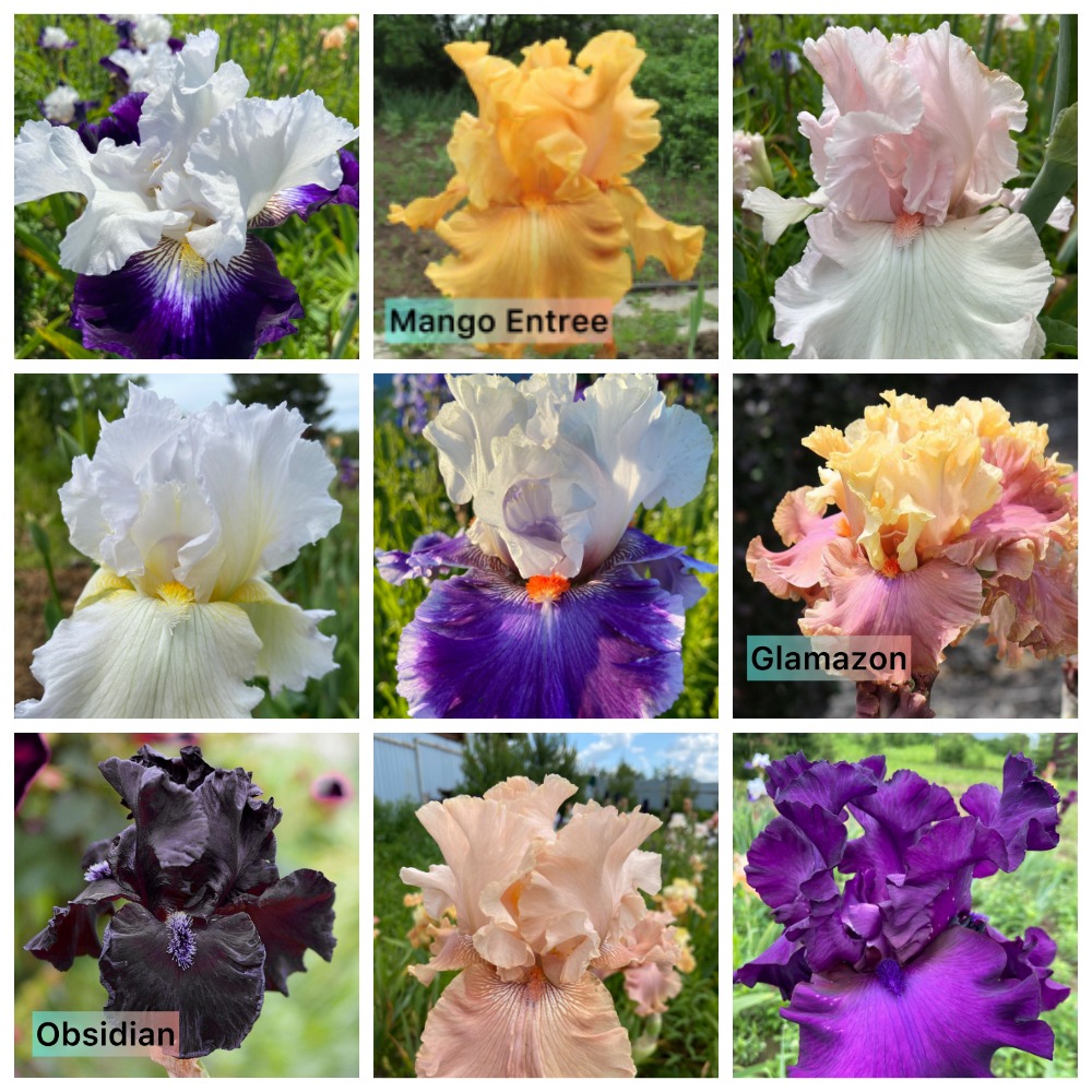 ���� �������. ������������� ����� �� �������� ����� 2. (�� 04.08).