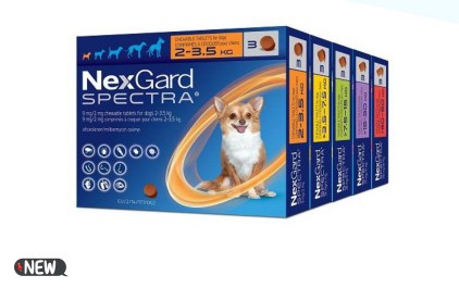 �������! �������� �������! ������ ���������� ��� ����� ������������! �� ����� ����! ������� ����� ��������, ���� ������!