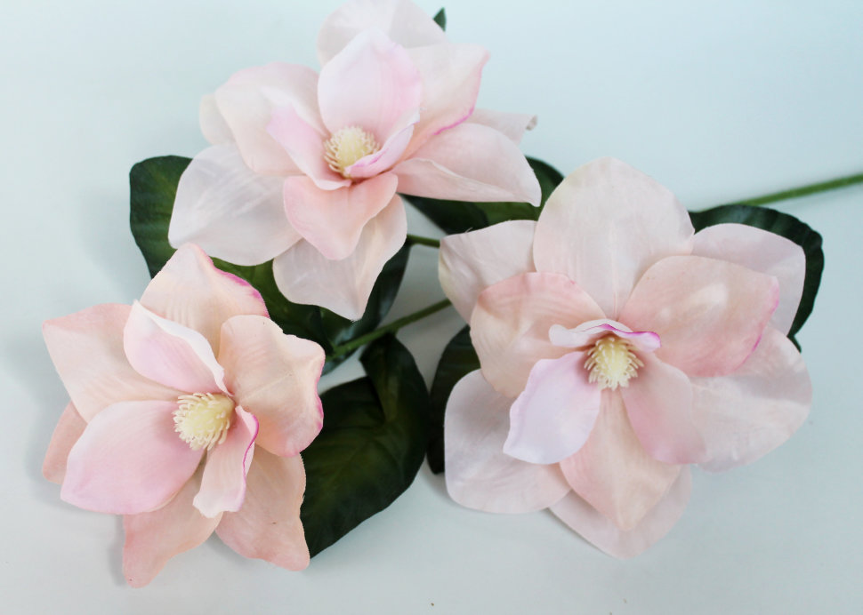 ���������� � ��������� �� Floritus! ����� �������� "����"- 3 ������ ������� 72��. � 2-� ����������. ���� 125���+%. �������� ���!