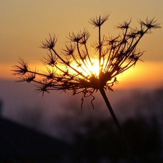 ���������������)