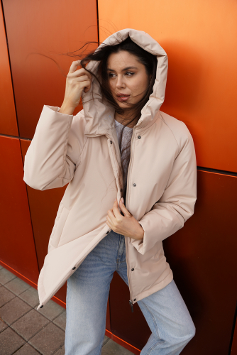 ������� ������ �� ���������� �������