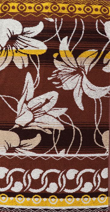 ���������  ���� �������