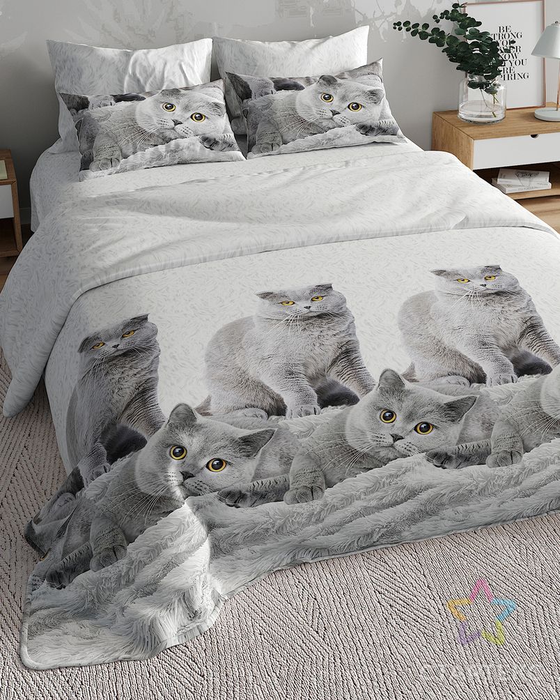 ����� �������� ���� - ���� ������� �����, ��������� ����� ��������� 