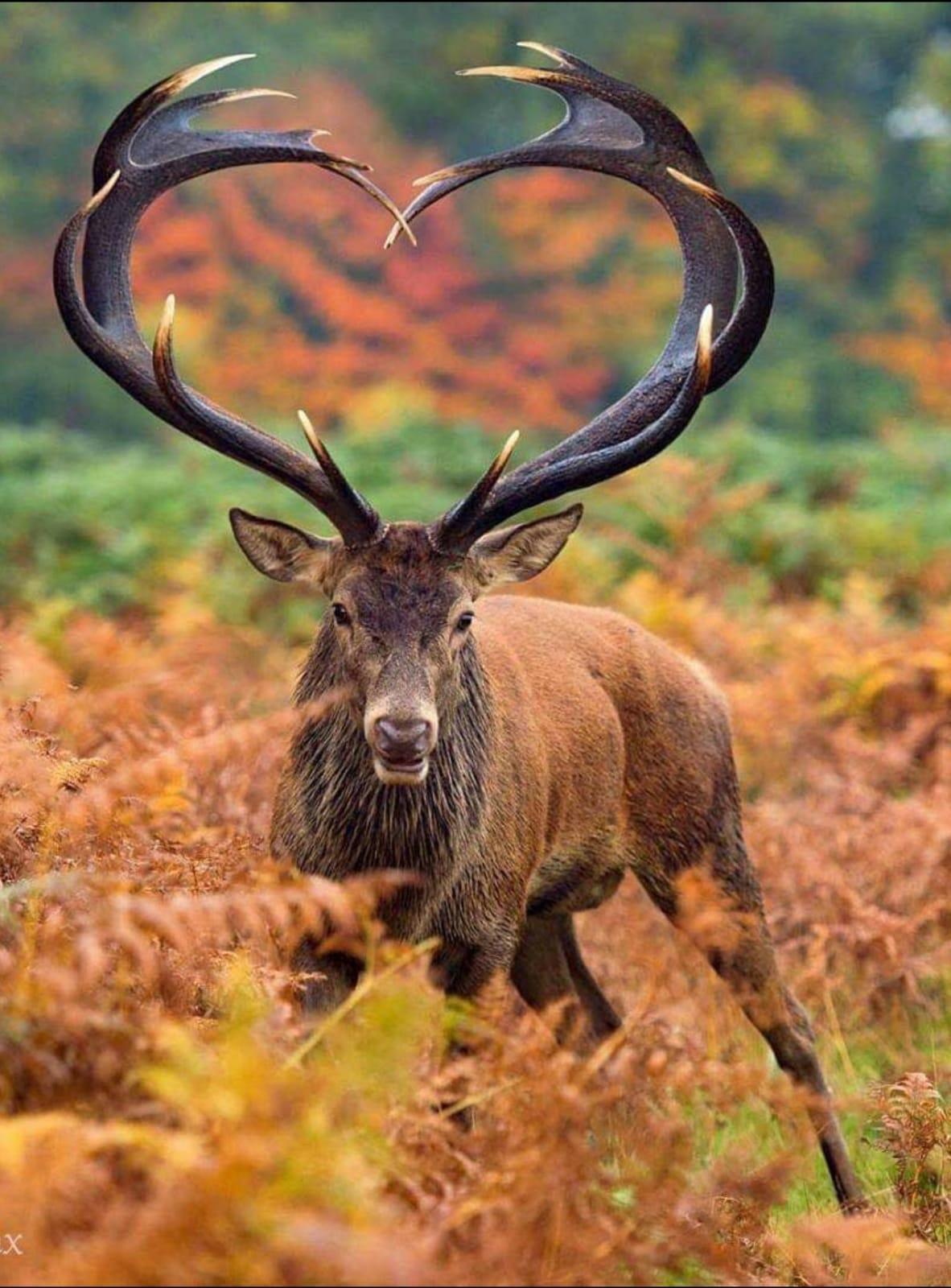 �������� ��������� ���� �����! ������� �� ��������� ������!