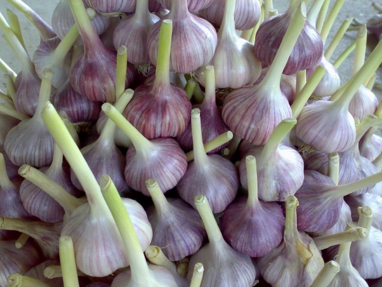 ���� ������� ������ 19. ���������� ������. (�� 25.08).