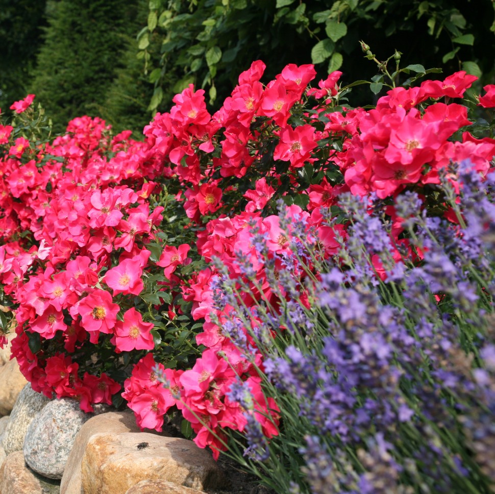 ������� ������! �������� ������� � ��� �� ���������� ������. 5/24