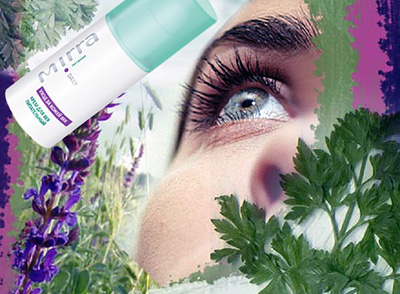 ���� �� ����� ���: ������ ���� ��� ��� ����������� � ������ 25% ������ �� ������ ������� ����-������ ��� ��� �����������