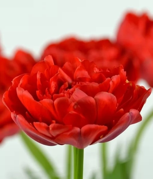 [b]���� ������� �� 26.08. ��� � �������. �������� ��������� ,���������. ���������. [/b]