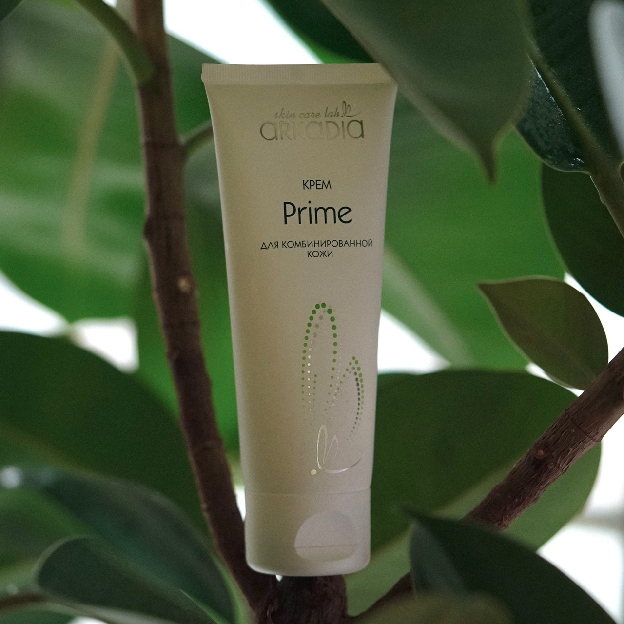 ���� Prime ��� ��������������� ���� ARKADIA 75 �� - ��������� ������� ����. ���� ������ �����������, �� ��������� �������� � ������ ������, �������� ��� ������ ��� ������. ��������� �������� ������, �������� ��������� ����.  