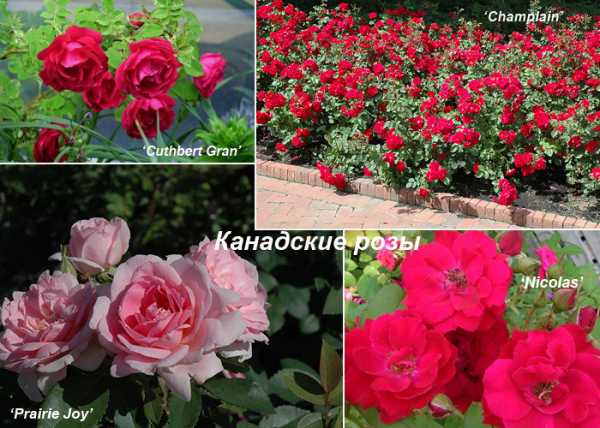 [b]���� �� 1 �������. ���� ��������� ��������, �����-2025.[/b]