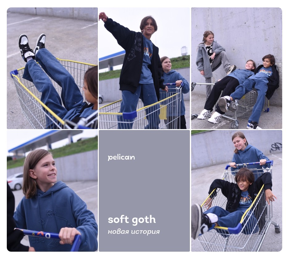 PELICAN �������!