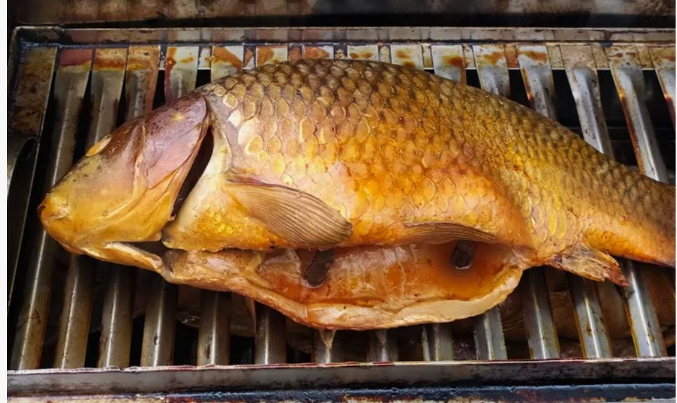 ���� ��������� ��������!