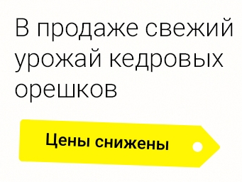 [b]������ ������ ������ �������� ��������� �����! �������� �� ������, ������ ����-58[/b]