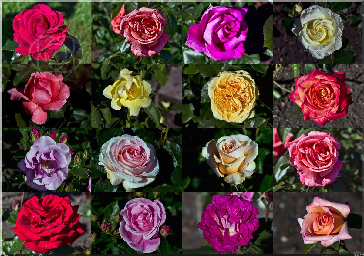 [b]���� �� 25.10.���� ����������. ��������� ����� 2025 ���.[/b]