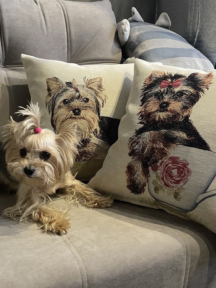 Le Go*be*len - �������� ��������� ��������� ��������, ������. �������� ������� �� �������� � �������, ������, ������� � ������. �����-18.