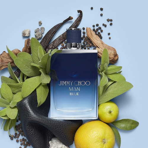 Jimmy Choo BLUE men 100ML EDT tester        ��-���� ������� ����: 2704.8 �   �����: Jimmy Choo  