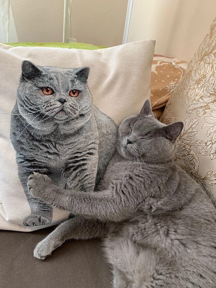 �������������� �������� �� Le*Gobelin