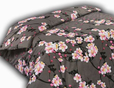 �����! ����� �������� ���� ����! ���� �������