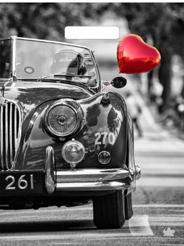 [b]���� �������. ������, ����������� ���������. �������� ����� �� �������� ����. ������� ������� � ������ ���� - ��������� � ���������� �������.[/b]