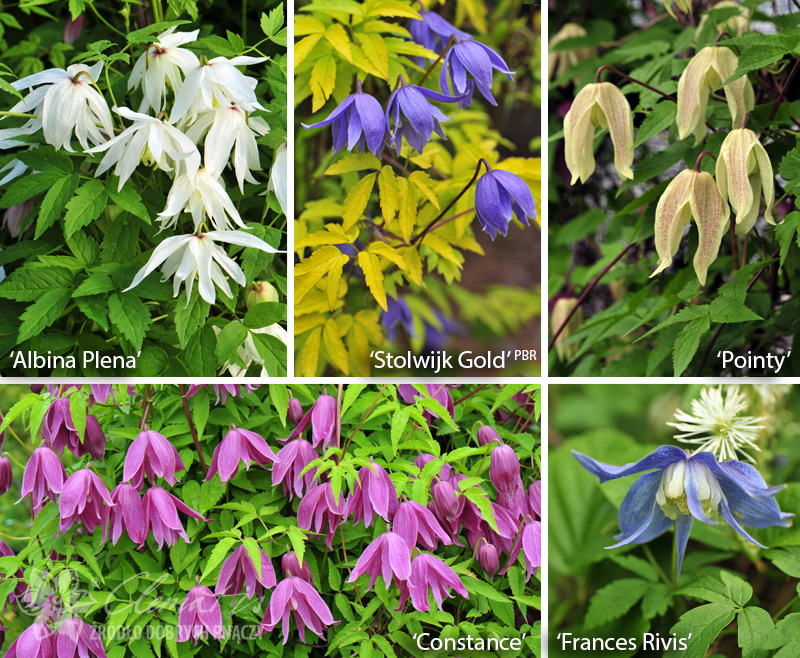 ��������� � ������� � 2� ����������� �� ����������� ����������. ��������� �� ����� 2025!