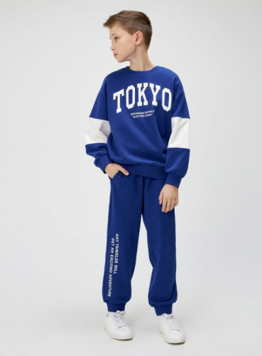  ���� �������. ACOOLA