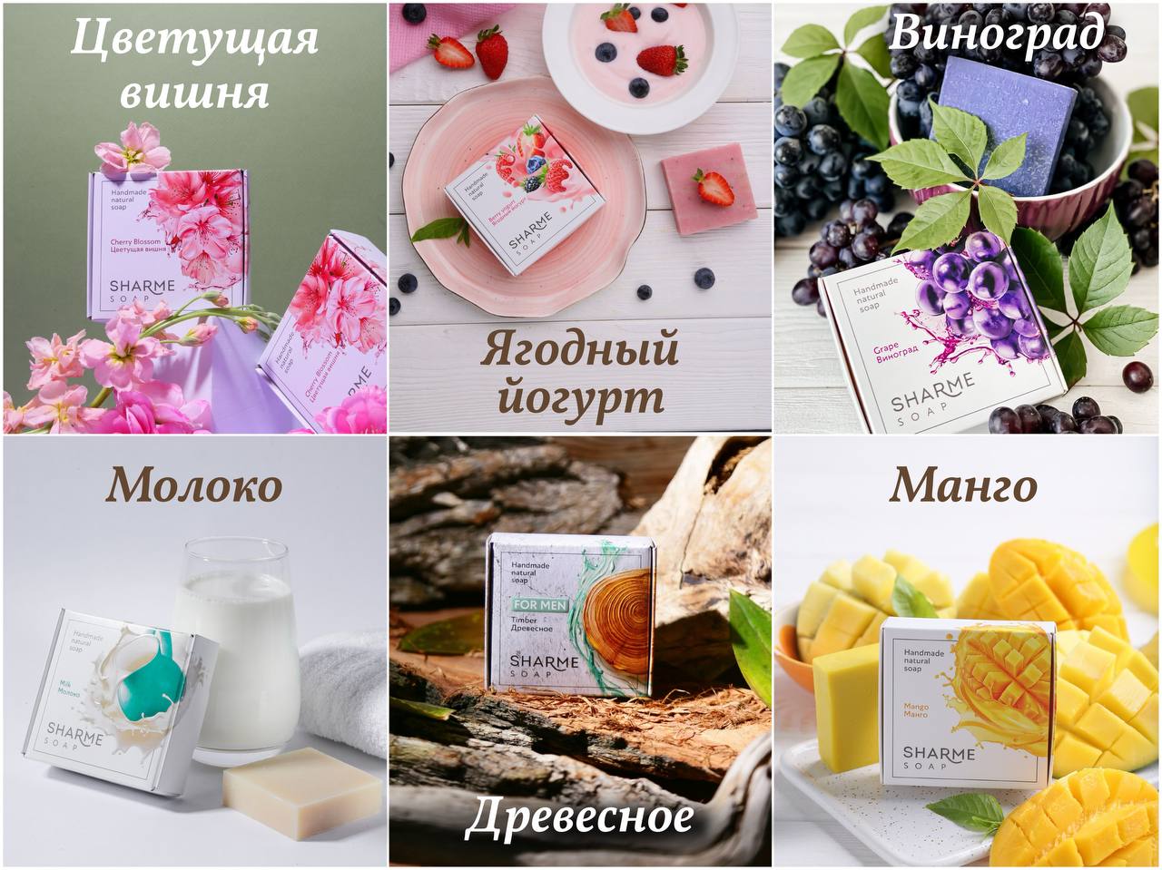 ���� ������ ������ ���� 310 ��� ������ 390 ���