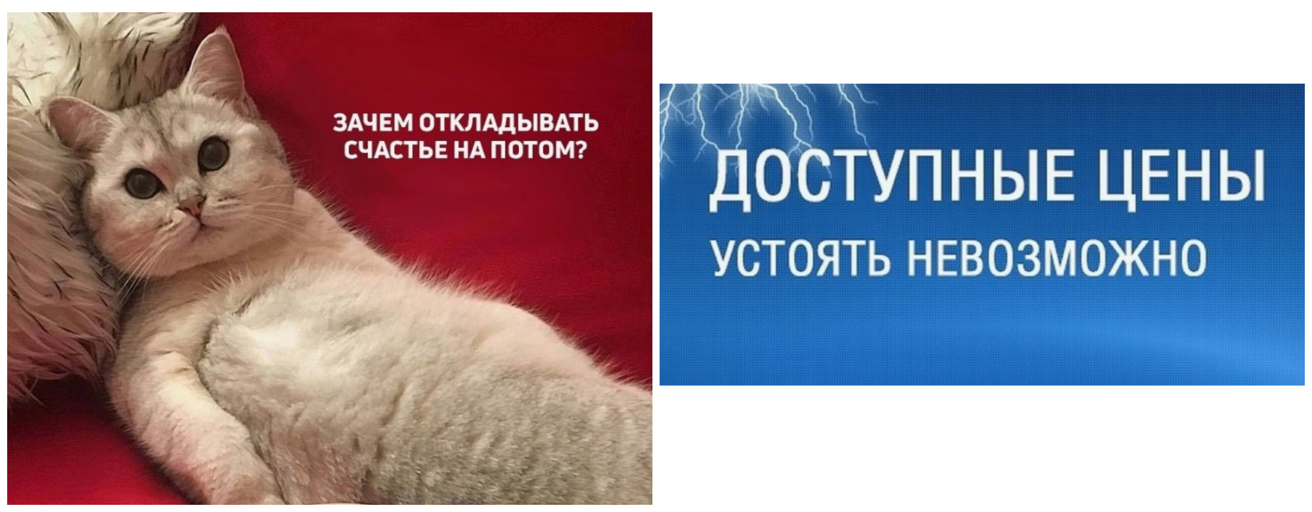 ����.����-�� �������! ����-����������.������,������ ,��������, ����� ,��������� �� �������� �� 80% .�� 300 � .�� 60 �������.����� ������ ���� !