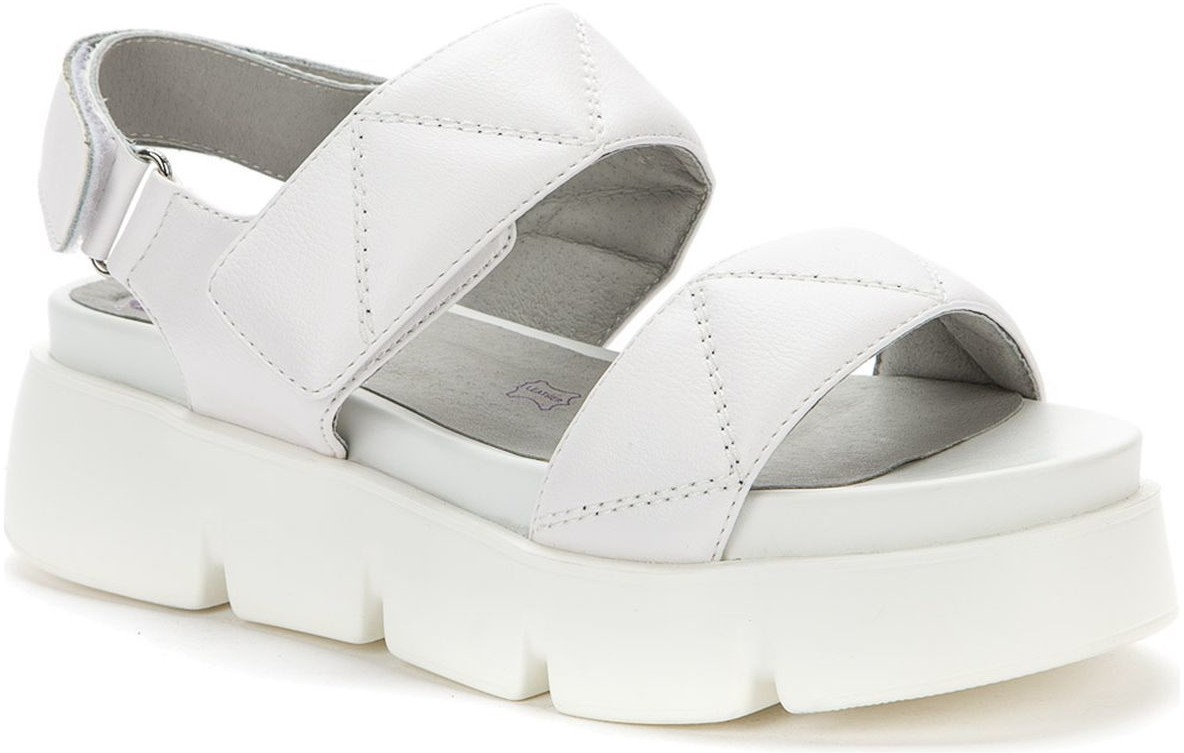 �������� ���! ����������� ����!