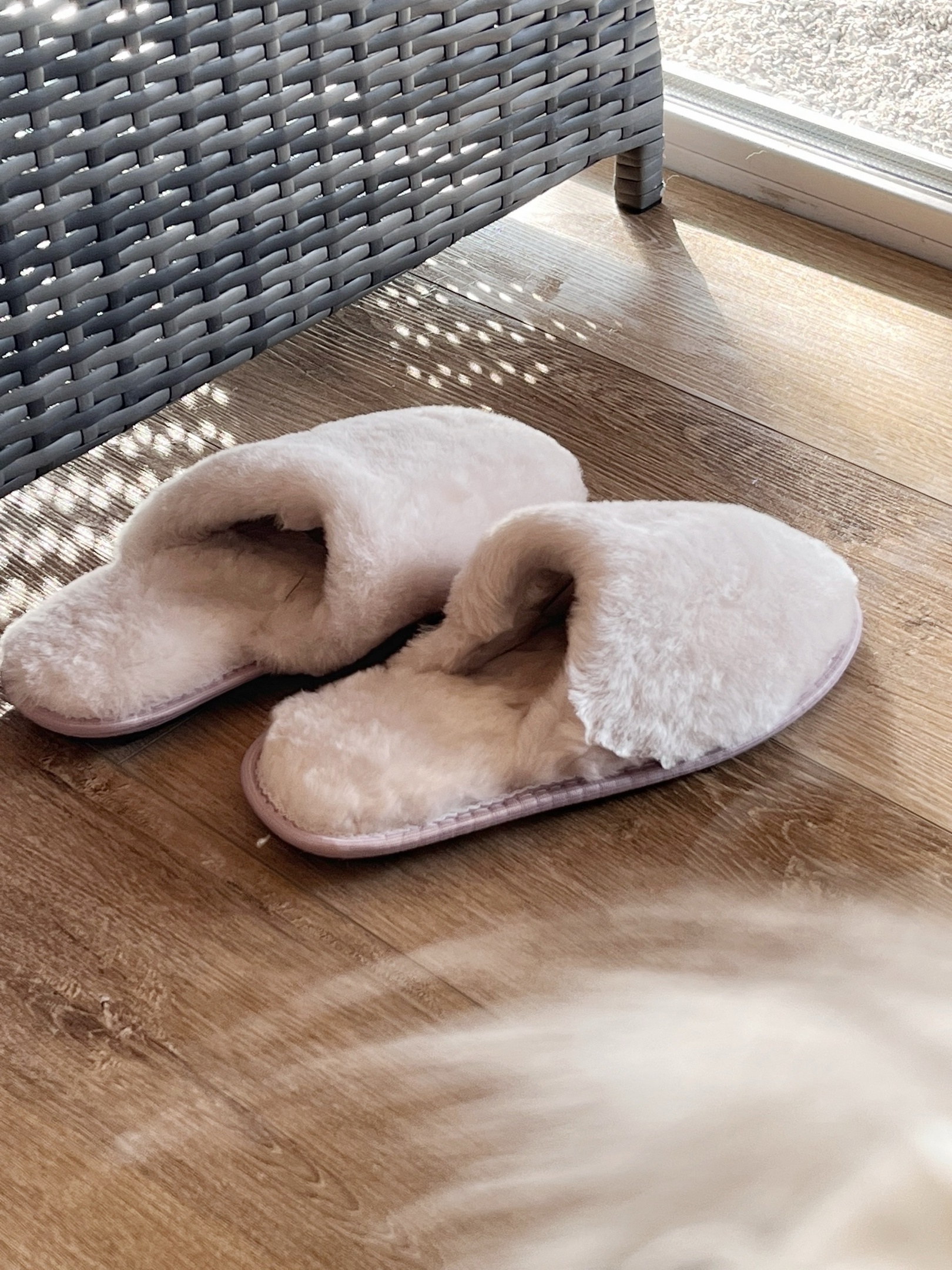 ���� �� 16.10. ���� � ������� �� ������ � ��� ���� ��� ���� �����. ������ �������, ����� � ��������. ��� �����. �31.