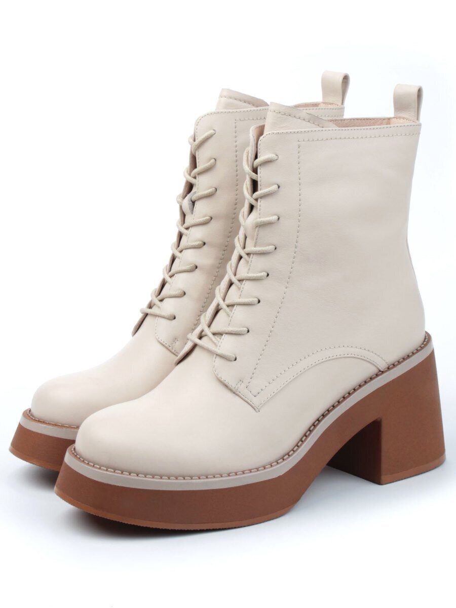 �����. ��������� �����. ������� ��������� �������. ����� ����. �������� ��������.