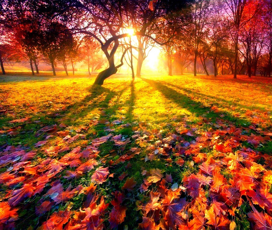 ��� ���� ���������� ���������� ������� ��������!!!