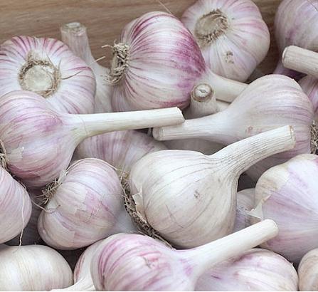 �������� ���� � �������,������ �������.������- �� ������� ������. 