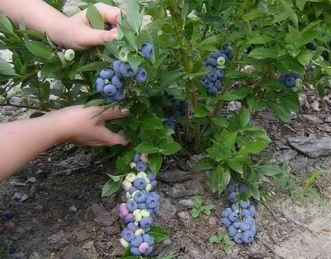 ���� ������� �� 10.10. �������� 23. ����� ������������ ������� �������� 2-3 �����, ������� � ������������ ���������� (����� ������� �������).