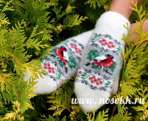 ���������� ������� � ������� , ����� �����������, ���������� � �������� �������, ������ �������� ������� � ���� ��������.