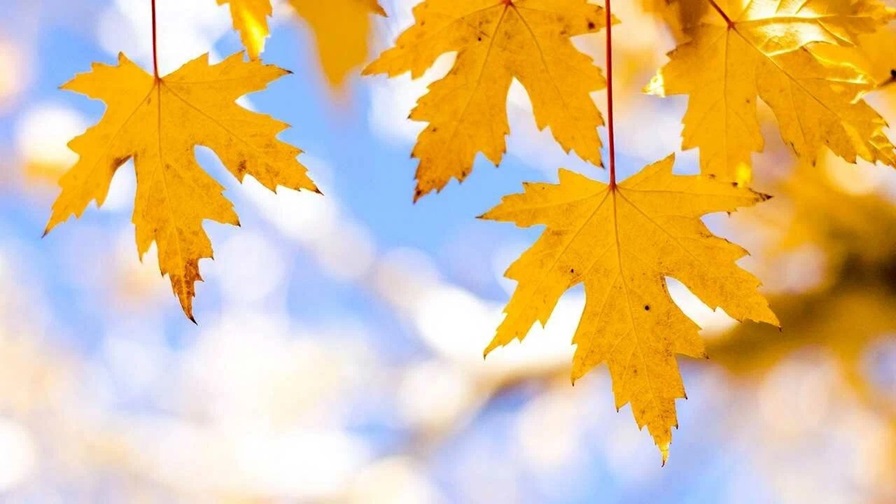 ������� �� �����, ���������, �� ����������! � ����� ��������� �������� �� ������� ����� ������ ������� ��� ��������� ���� ���������� �� 200 ������! ���� ������� �������!!!