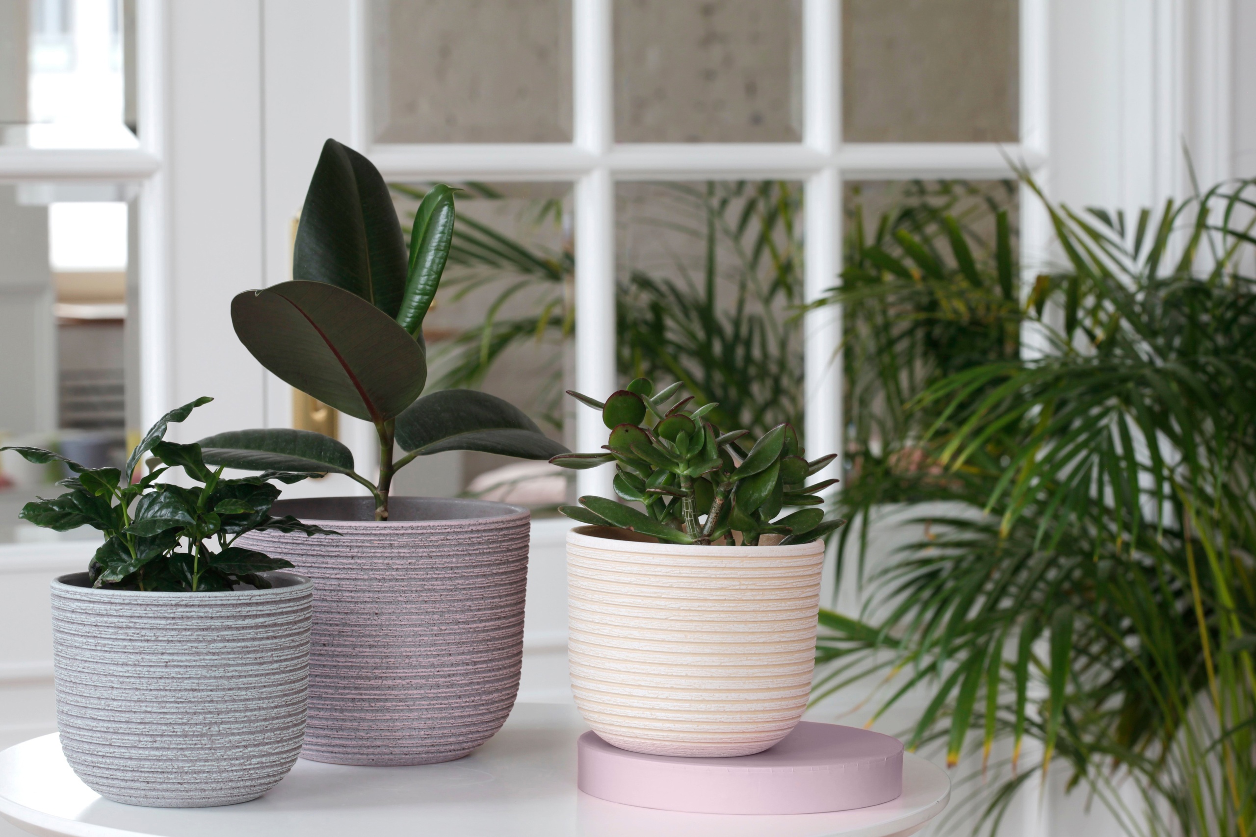 ������ ��� ��������� � ����. �����-22. 