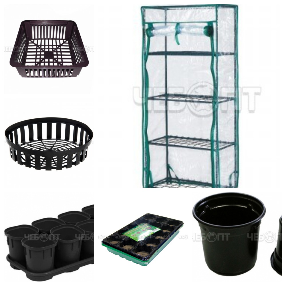 [b]��������_���� �� 28.10.24. ������ ��� ���������: ������, ����-�������, �����. �����, ��������,�����, ������![/b]