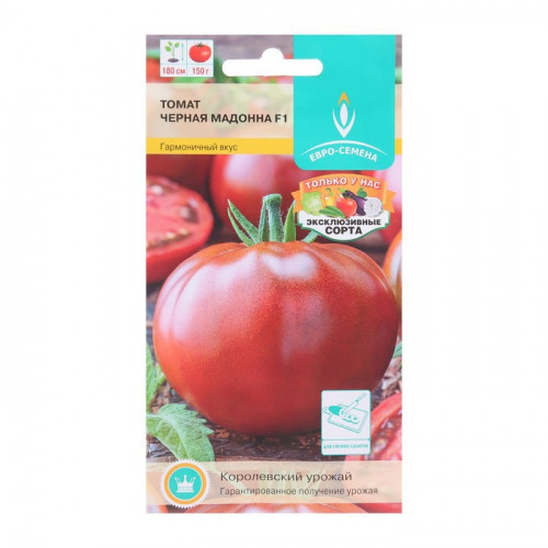 ����� 19. ������: �����, ��������� ��������, �������, ������ � ��������, ������� � ����������, ������ � ��������, �����, �����, ����� � ������, ������ ��� �����.