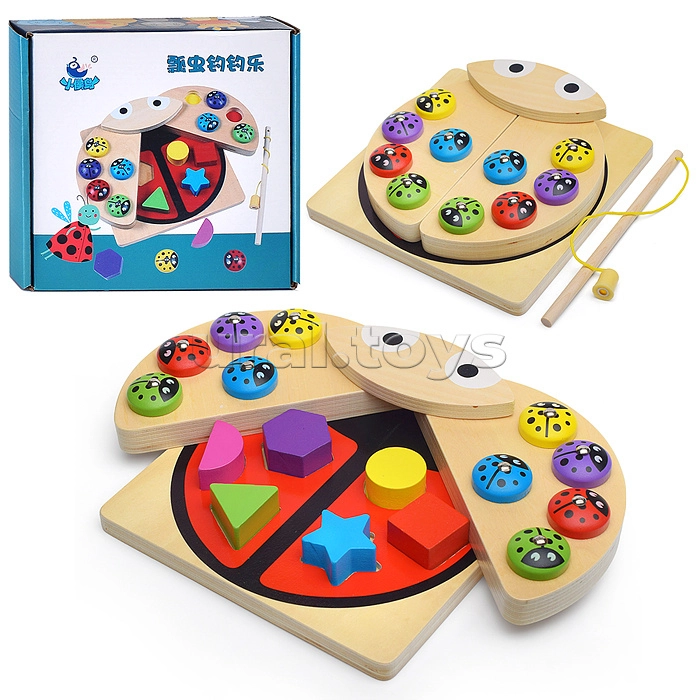 ����� 49. ������� ��� �����������, ���������� �������, ����������� ������� �����������, �������-������� ����, ����������� ��������� ����, ������ �������� � ����������. ������� �����.