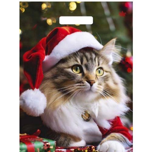 [b]���� �������. ������, ����������� ���������. �������� ����� �� �������� ����. ������� ������� � ������ ���� - ��������� � ���������� �������.[/b]