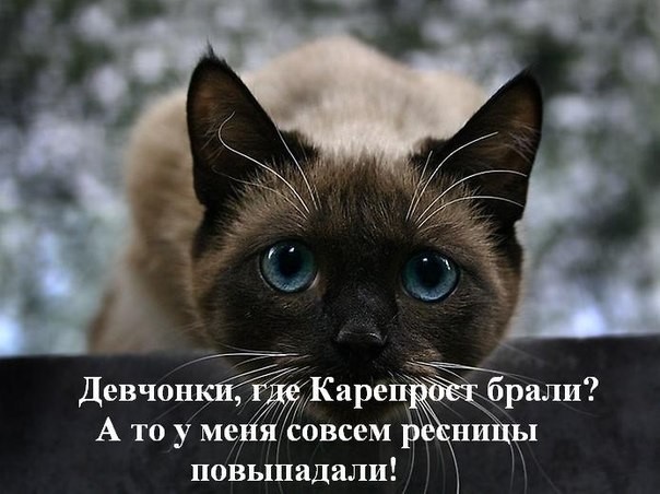 Careprost 3 �� - ������ ��������� � �������! - 199